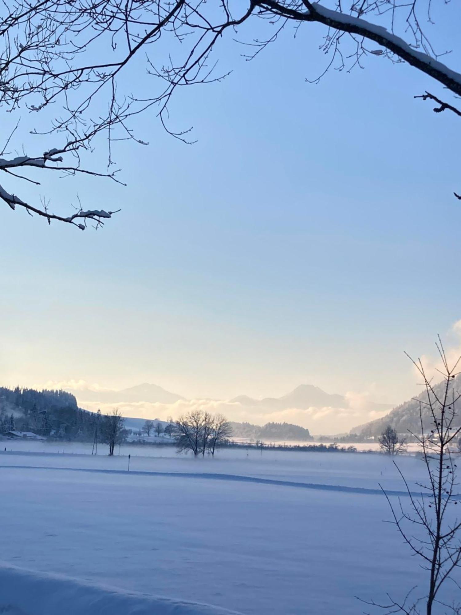 Tanja'S Kaiserdomizil Walchsee Exterior foto