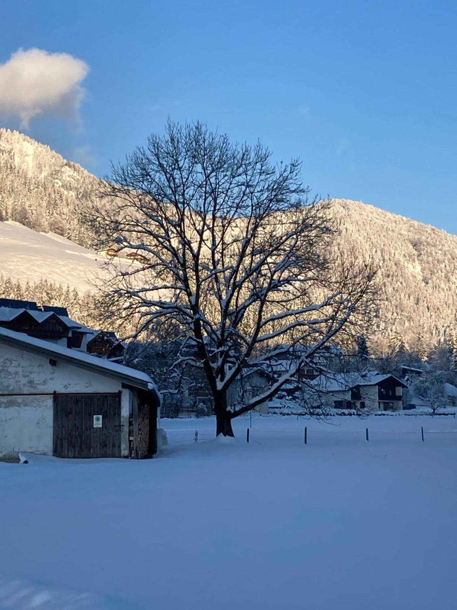 Tanja'S Kaiserdomizil Walchsee Exterior foto