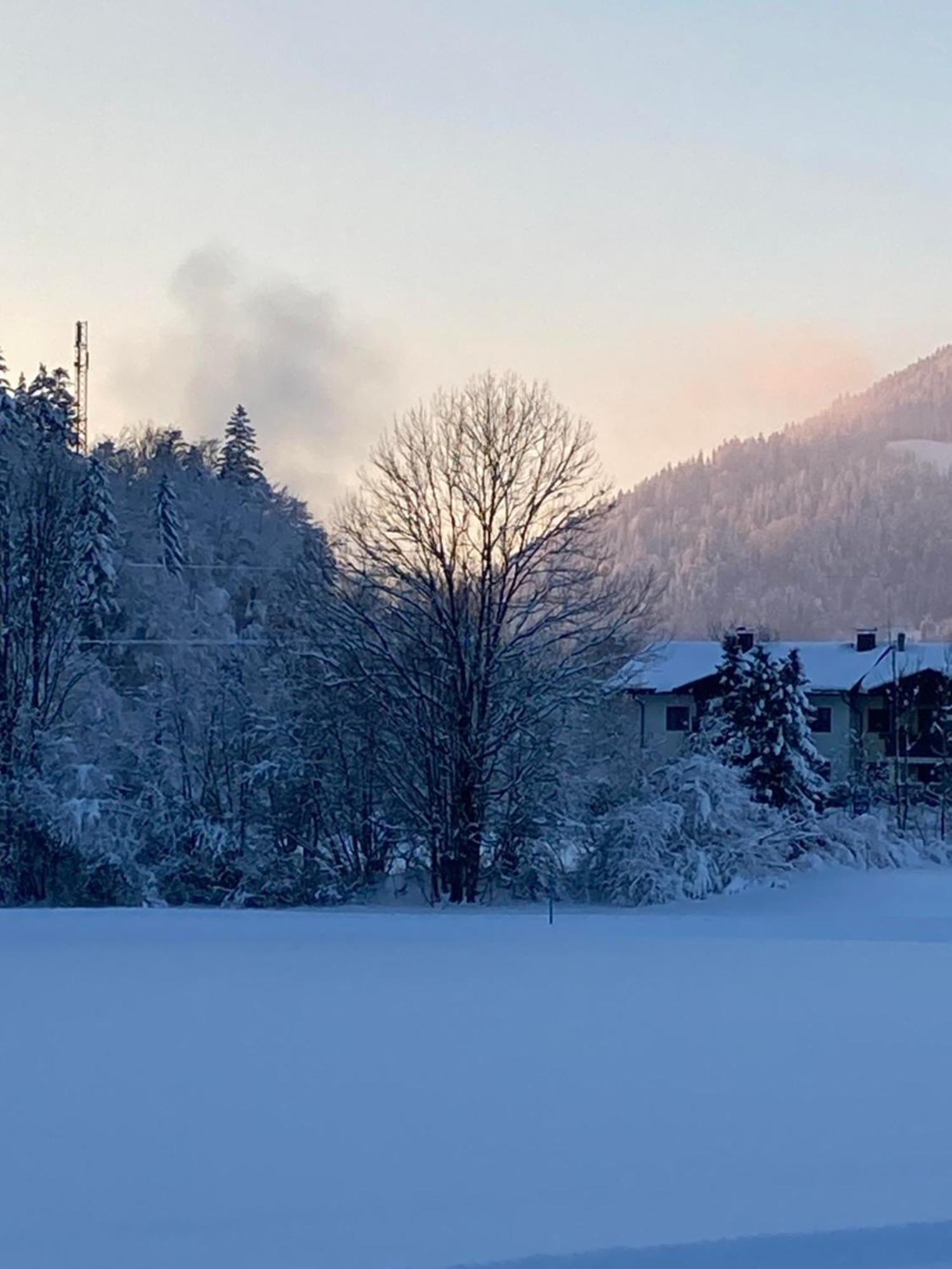 Tanja'S Kaiserdomizil Walchsee Exterior foto