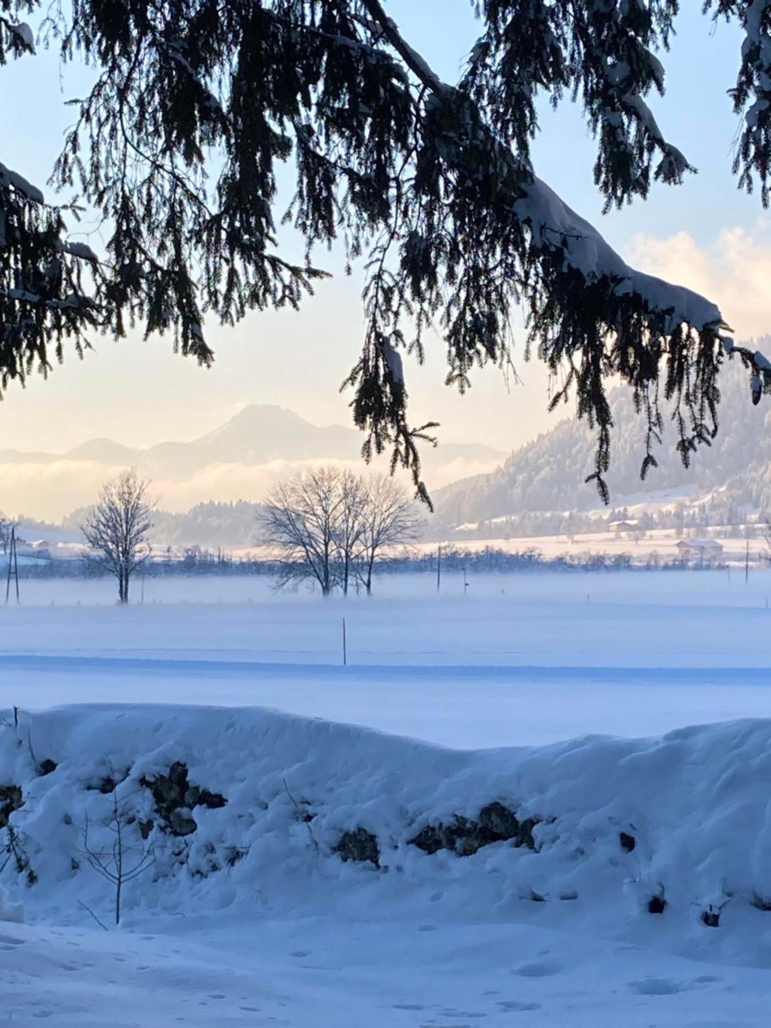 Tanja'S Kaiserdomizil Walchsee Exterior foto